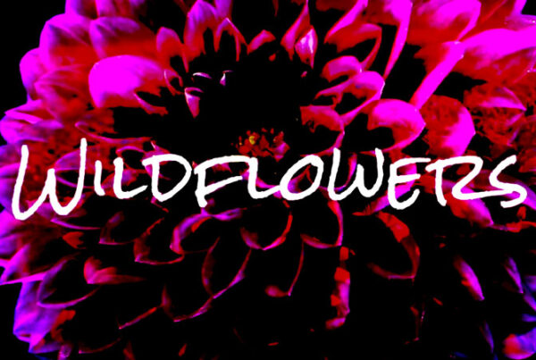 Don't Back Down, Maryland's premier Tom Petty and the Heartbreakers tribute band presents a video tribute to Tom Petty's Wildflowers. Mark O’Dell, Chris Huntington, John Nichols, Tom Sabia, Mike Ward, Kennth Aurich, Evan Cooper